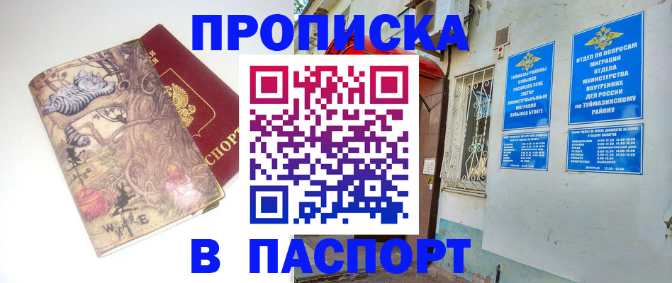пропишу в квартире в Каменке